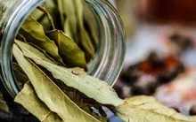 Loại lá chuyên dùng làm gia vị, bán rẻ đầy chợ Việt nhưng có giá 2 triệu đồng/kg tại Mỹ: Mỗi ngày chỉ cần dùng 5g giúp lọc sạch phổi, đánh bay tiểu đường