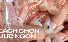 3 cách phân biệt mực tươi và mực đông lạnh, dân sành ăn mới biết