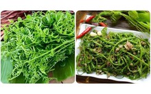 Loại rau được mệnh danh là 'vua các loài rau' cực tốt cho sức khoẻ