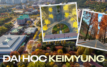 Ghé thăm ngôi trường có khuôn viên đẹp nhất Hàn Quốc: Từng lên gần 150 phim, có hẳn 2 trạm tàu điện ngầm bên trong