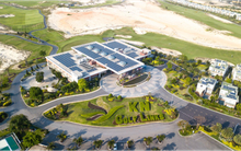 Chuyển đổi xanh: Xu hướng tất yếu cho doanh nghiệp phát triển bền vững