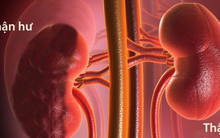 Thứ thận 'sợ', cần ăn ít nhưng nhiều người Việt vẫn vô tư dùng gần gấp đôi khuyến cáo của WHO