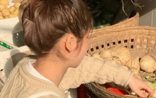 Đi chợ Tết thấy 4 loại rau củ này rẻ mấy cũng đừng mua kẻo rước bệnh về nhà