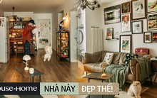 Mua nhà nhỏ đến mức bị tưởng là hành lang chờ thang máy, cặp đôi "hô biến" thành không gian sống ấm áp và đậm màu retro