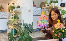 4 năm ở trọ đầu tư decor đâu ra đấy vẫn phải chuyển đi: Kiếp nạn quản lý khó tính, suýt thì mất cọc