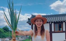 Loại rau chợ Việt bán vài ngàn cả nắm nhưng là 'khắc tinh' của ung thư miệng, dạ dày và thực quản