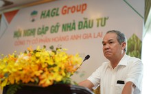 Cá nhân duy nhất chi 200 tỷ mua cổ phiếu riêng lẻ trong đợt phát hành 1.300 tỷ của HAGL