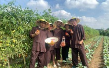 Mô hình du lịch nông nghiệp xanh VietHarvest AgriTour chính thức ra mắt, du khách được trải nghiệm làm người nông dân từ A - Z