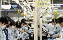 Người Việt sang Nhật làm việc tăng cao kỷ lục