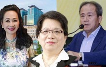 Nhiều thành viên Đoàn thanh tra không bị xử lý hình sự