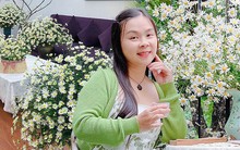 Cô giáo ở Hà Nội bỏ 300.000 đồng mua cúc họa mi để đổi lấy một "phim trường thu nhỏ" tại nhà