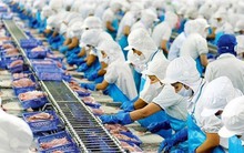 Dragon Capital bán bớt cổ phiếu, không còn là cổ đông lớn tại Vĩnh Hoàn (VHC)