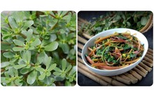 Rau sam rất tốt nhưng không nên ăn cùng những thực phẩm này