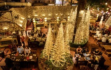 Rừng thông Noel bằng tre "đậm màu đất Việt" giữa lòng Hà Nội trở thành điểm check-in mới cho giới trẻ thủ đô