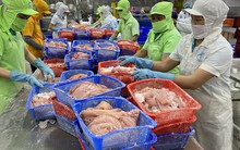 Doanh nghiệp khổ vì bị thanh tra, kiểm tra nhiều