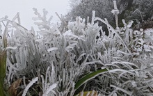 Không khí lạnh tăng cường khiến miền Bắc rét 2,5 độ C