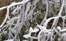 Không khí lạnh tăng cường, miền Bắc rét đậm, có nơi dưới 3 độ C