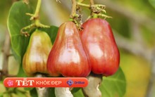 4 loại hạt ăn ngày Tết là “vua” bổ tim mạch, chỉ số đường huyết cực thấp: Hạ mỡ máu hiệu quả, tốt cho người tiểu đường