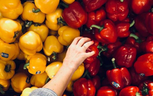 1 loại quả “ngọt” chứa lượng vitamin C khủng gấp 20 lần táo lại là “thuốc” hạ đường huyết, chống cả ung thư: Rất sẵn ở Việt Nam