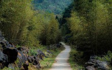 "Ngôi làng địa ngục" gây sốt trong phim kinh dị Việt, không phải là bối cảnh giả, điểm này cách Hà Nội gần 300km