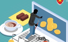 Cảnh giác trước những chiêu lừa đảo trực tuyến mới tại Việt Nam