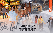 Có một nơi phủ đầy 'tuyết trắng' ở Đà Lạt vào lúc này
