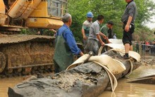 Lão nông khoe đào được cây gỗ hơn 25m, cảnh sát lập tức đến phong tỏa hiện trường