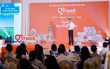 Người Việt chi dùng hàng trăm triệu USD cho việc chăm sóc thú cưng