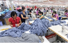 Có nên giảm giờ làm của doanh nghiệp xuống 44h mỗi tuần?