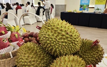 Sầu riêng tăng giá mạnh