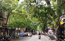 Đại hạ giá nhà phố cổ Hà Nội nhưng… ế