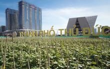 Công viên 90 tỷ đồng dài 600m, cách trung tâm TP. HCM chỉ một cây cầu sắp khánh thành