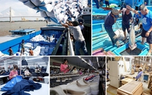 Truyền thông Malaysia đánh giá tích cực về tăng trưởng và triển vọng kinh tế Việt Nam