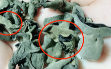 Khi mua mộc nhĩ bạn hãy nhớ “4 điều không nên” để dễ dàng chọn được loại chất lượng, tránh lãng phí tiền bạc