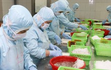 Thưởng Tết ở Cần Thơ: Cao nhất chỉ bằng một nửa năm ngoái