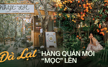 Giữa cảnh hàng quán Đà Lạt phải sang nhượng, vẫn có quán mới "mọc" lên: Làm sao để có thể "sinh tồn"?
