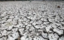 Ấn Độ thử nghiệm ứng dụng trí tuệ nhân tạo trong dự báo thời tiết