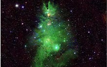 Chòm sao ‘cây thông Noel’ sáng lấp lánh trong vũ trụ