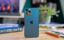 Chiếc smartphone lừng lẫy một thời nay rẻ như cho, giá thấp hơn cả iPhone 11 đập hộp