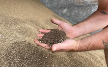 Việt Nam nắm giữ một loại ‘bảo bối’ khiến Campuchia liên tục bỏ tiền săn đón: Thu về hơn nửa tỷ USD kể từ đầu năm, giá rẻ bất ngờ