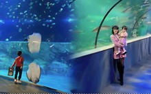 Thủy cung Lotte Hà Nội bị hội mẹ bỉm chê sơ sài và hụt hẫng vì giá đắt mà trải nghiệm chưa thỏa đáng