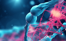 Các nhà khoa học đã phát hiện ra gen siêu năng lực, và những 'siêu nhân' có khả năng sẽ trở thành hiện thực trong tương lai!