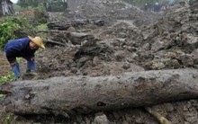 Lấp ao cá, lão nông phát hiện khúc gỗ dài 8m, nặng 1.000 kg, cảnh sát lập tức phong tỏa hiện trường