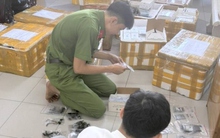 Công an phát hiện lô phụ kiện Iphone không hóa đơn chứng từ trị giá 1 tỷ đồng