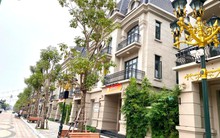 "Thị trường BĐS sẽ đảo chiều từ quý 3/2024 và khởi sắc từ quý 2/2025"