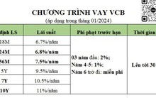 Ngân hàng cố định lãi suất cho vay trong 10 năm