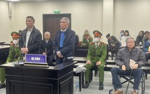 Cựu chủ tịch và cựu tổng giám đốc VEAM lĩnh án vì gây thất thoát 165 tỉ đồng