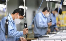 Năm 2023, hơn 159 nghìn doanh nghiệp đăng ký thành lập mới