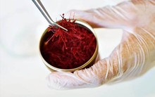 'Vàng sa mạc' được xem là dược liệu hạnh phúc của giới nhà giàu bỗng trở nên khan hiếm, có giá gần nửa tỷ đồng một kg ở Việt Nam