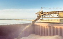 Nhập khẩu ngũ cốc của EU từ Nga tăng gấp 10 lần